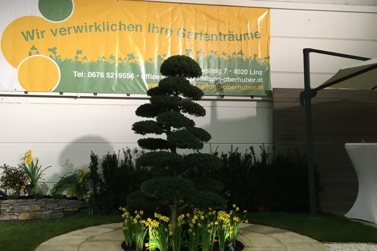 Messen Gartengestaltung Oberhuber Ihr Gärtner in Linz